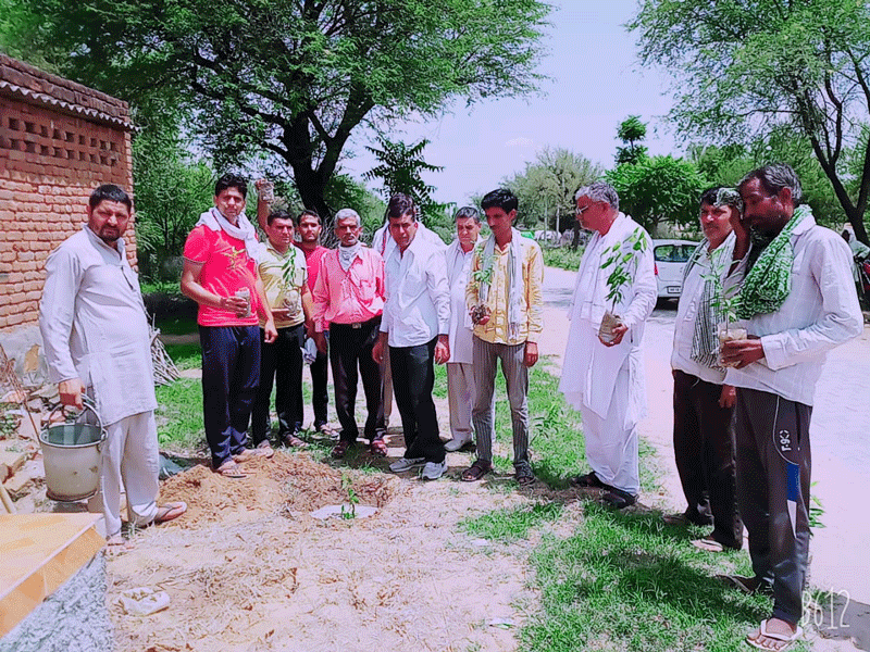 Humanitarian support